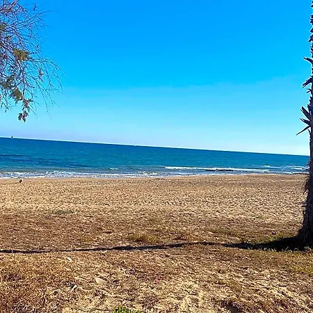 To 100m Of The 3* Torrevieja